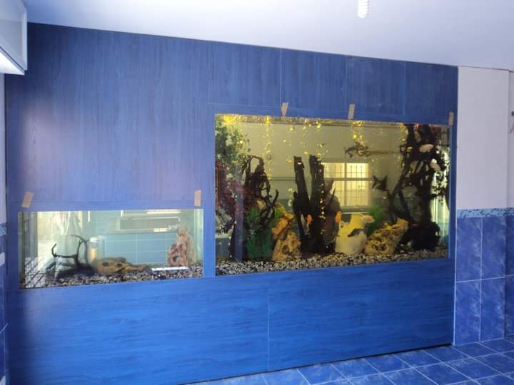 Aquarium Frames in Lebanon