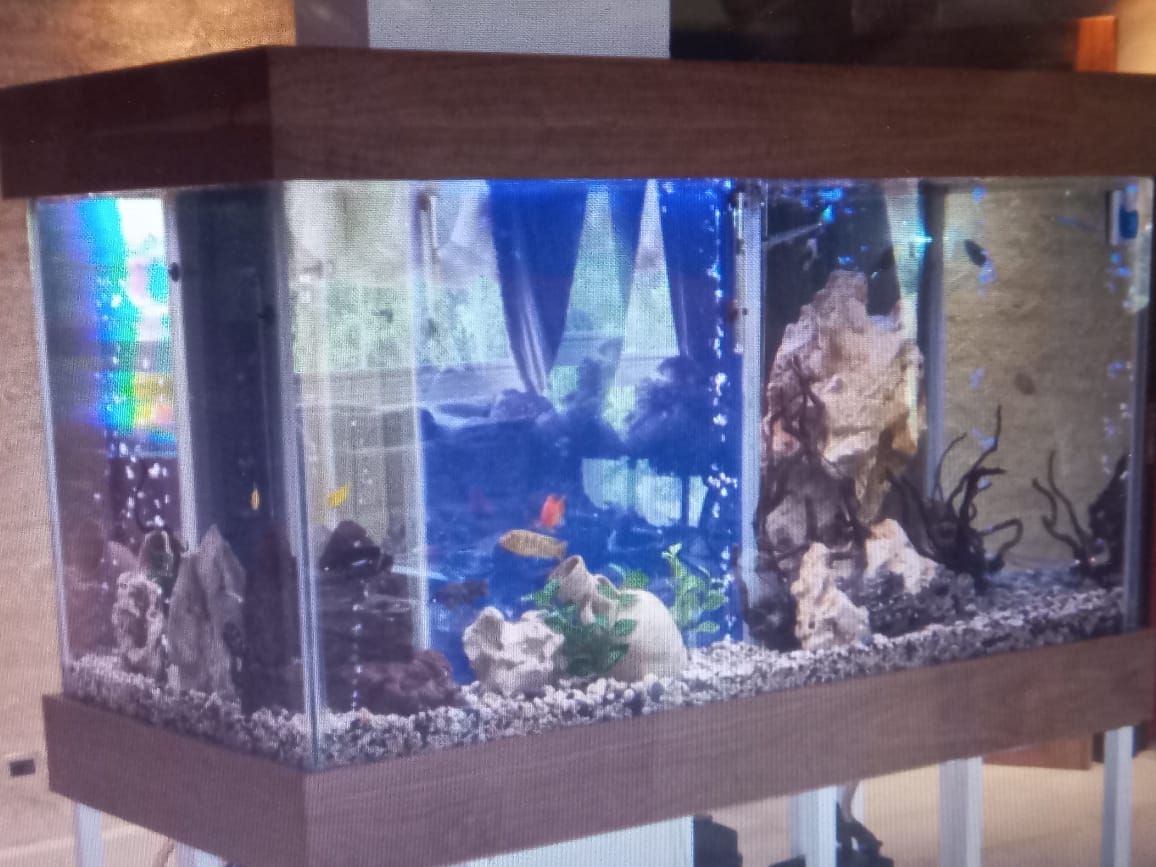 aquarium installation