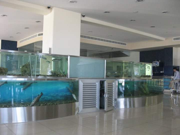 Modern Aquarium in Lebanon