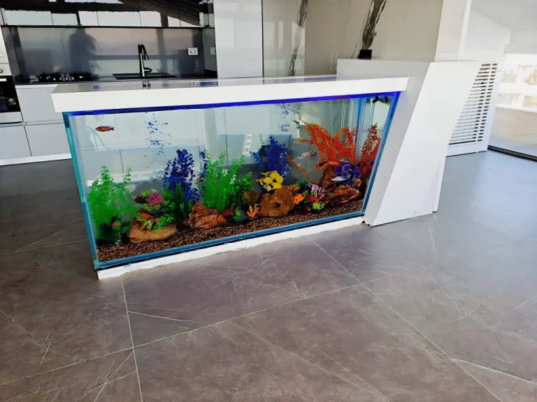 New Aquarium 1