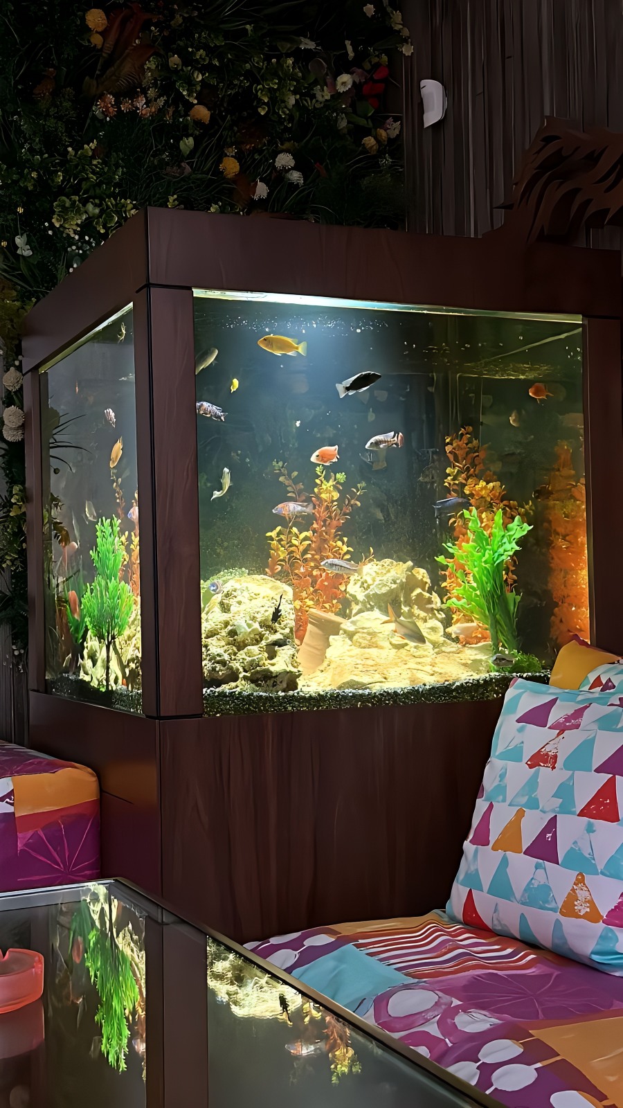 Indoor Aquariums: