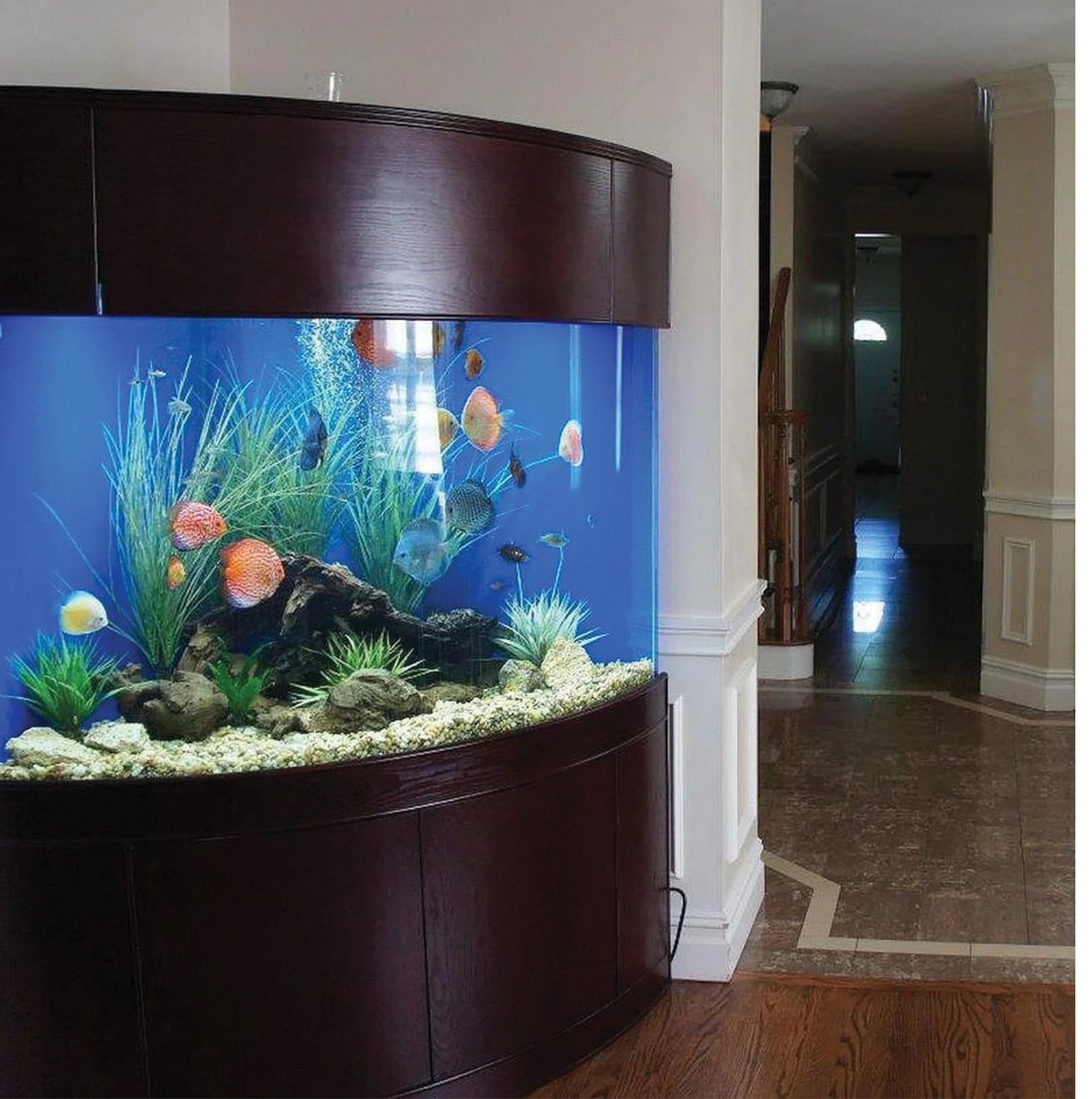 Aquarium with Cabinet