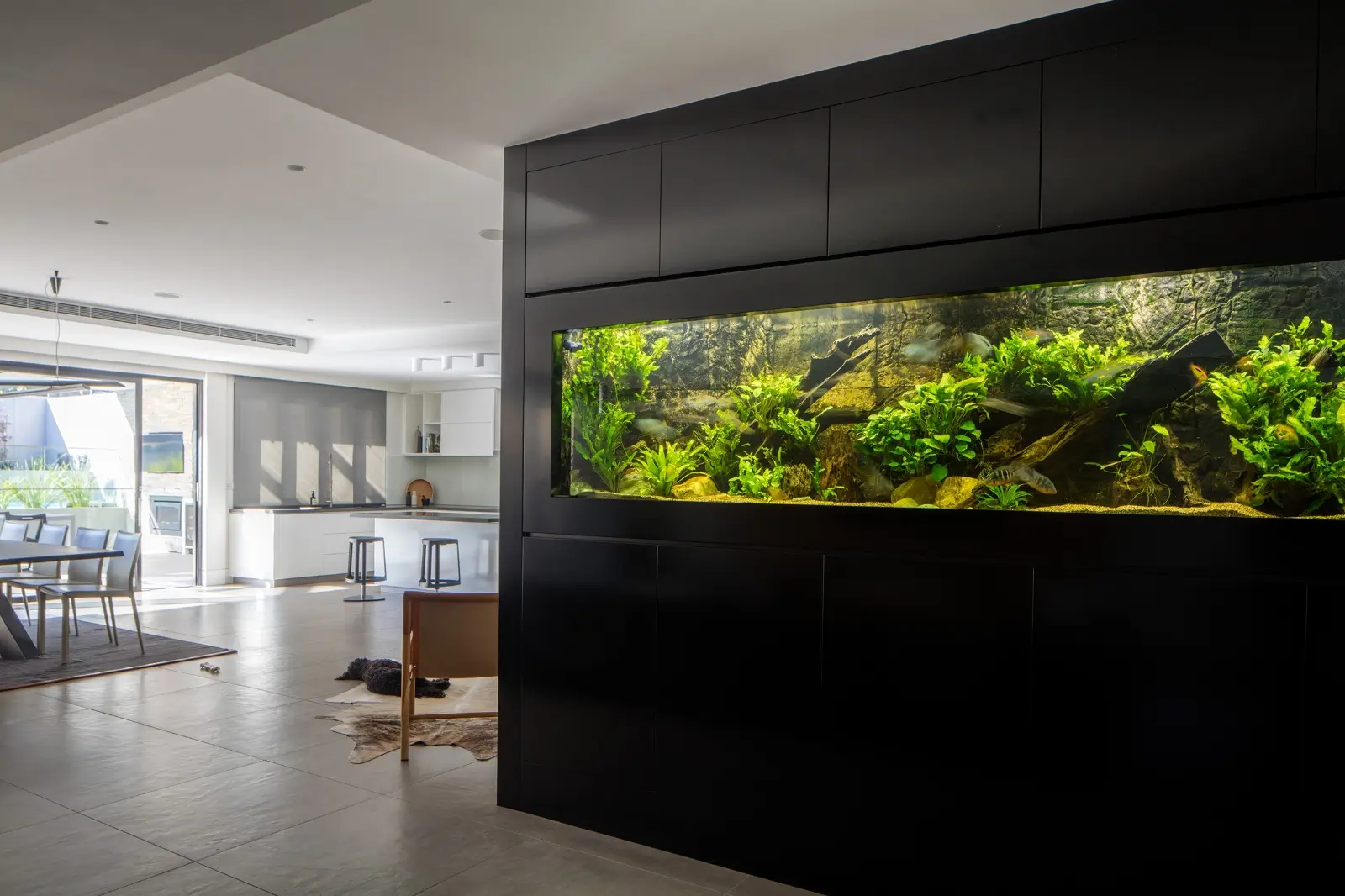 Aquarium accessories in Lebanon