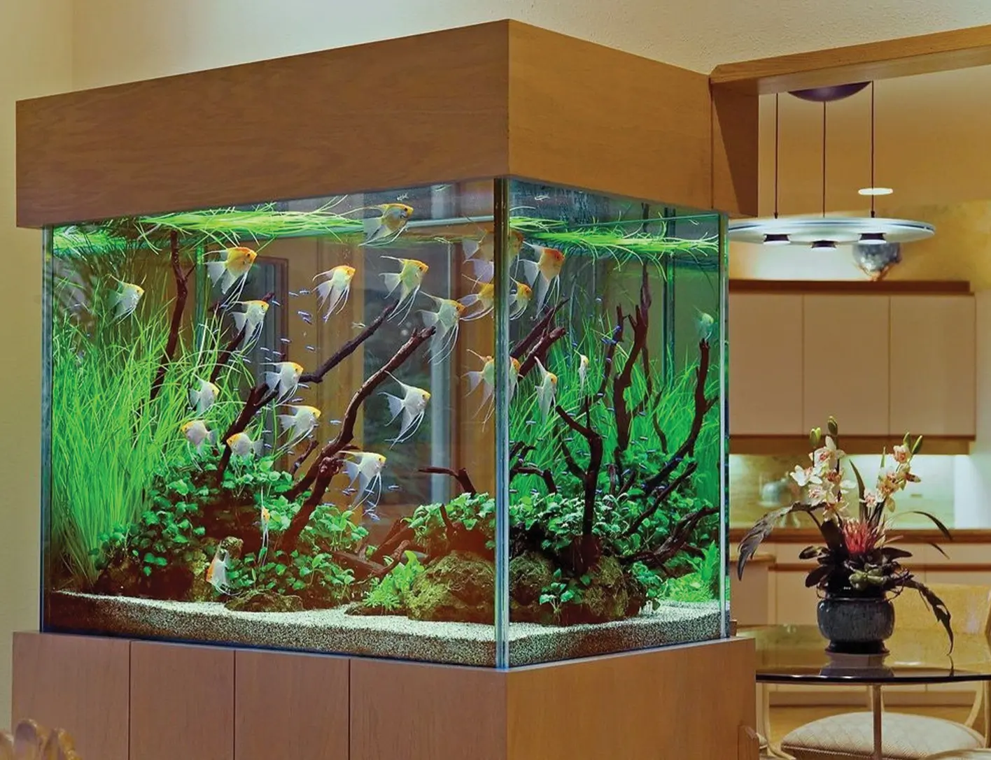 Stylish Aquarium Design