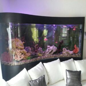 Modern Aquariums