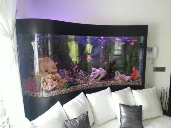 Modern Aquariums