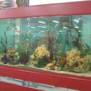 Customized aquarium and installation