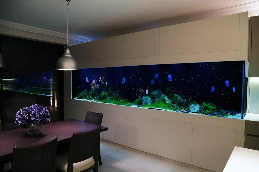 Custom made Aquarium in Lebanon