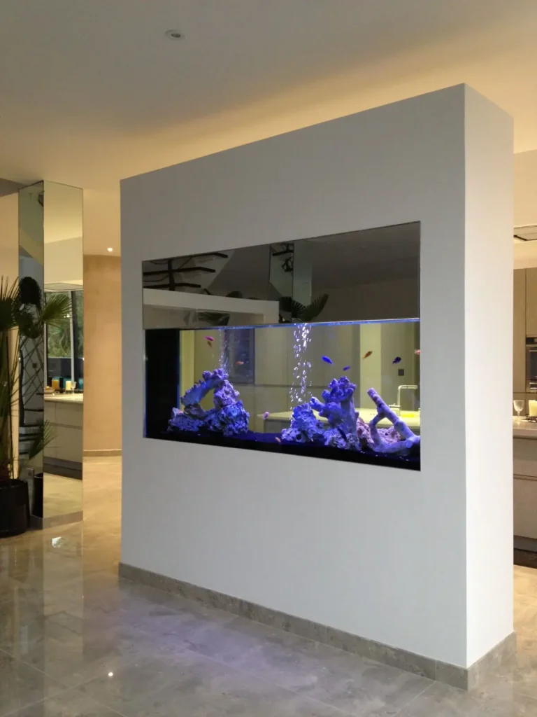 Aquarium Supplies in Lebanon