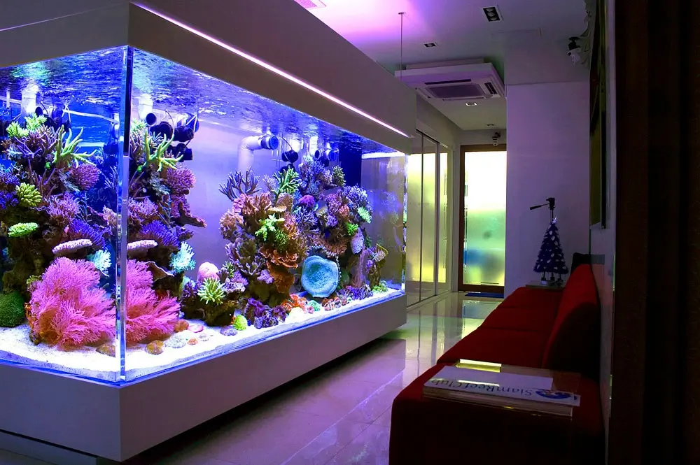 Quality Aquarium and pets in Lebanon