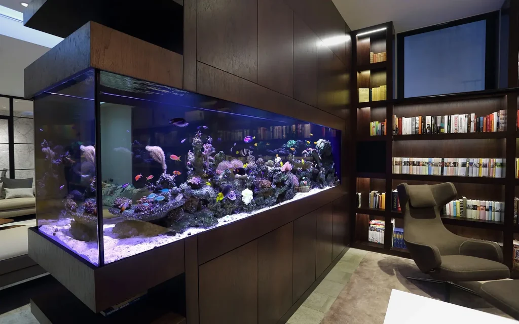 My Aquarium In Lebanon